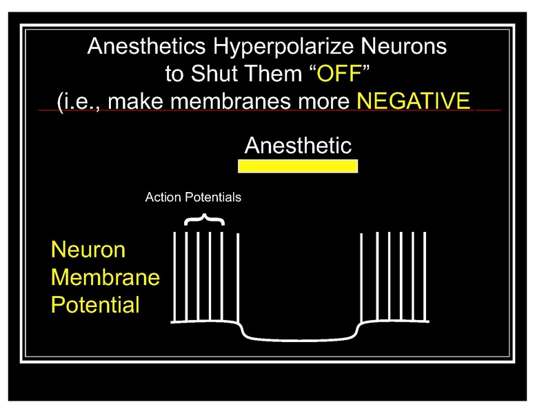 File:CA1 sedative hypnotic COTTEN.pdf
