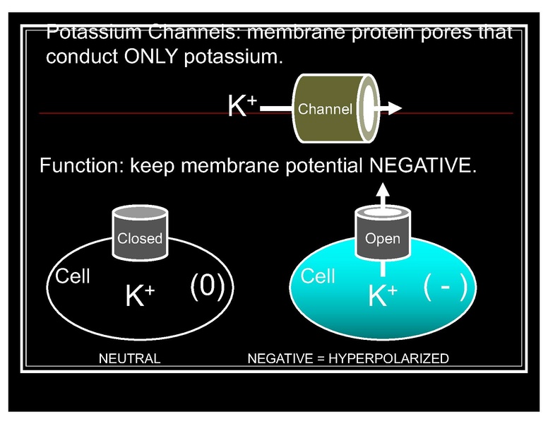 File:CA1 sedative hypnotic COTTEN.pdf