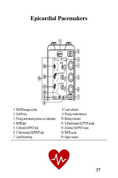 File:CSICU Provider Handbook 2023.pdf