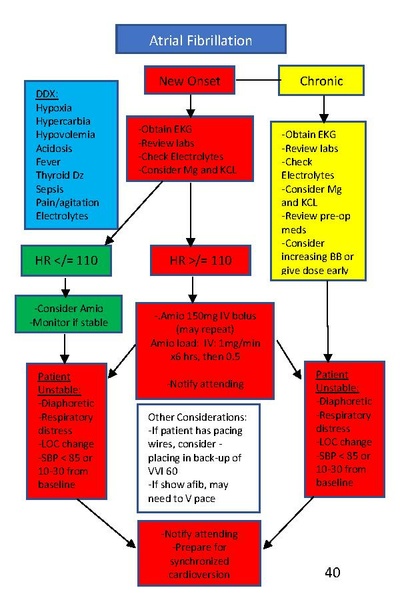 File:CSICU Provider Handbook 2023.pdf