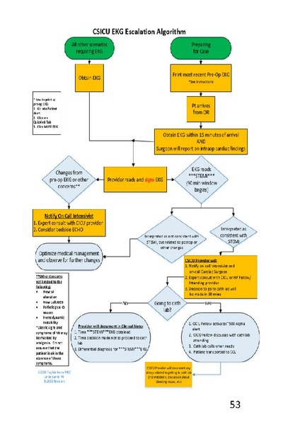 File:CSICU Provider Handbook 2023.pdf
