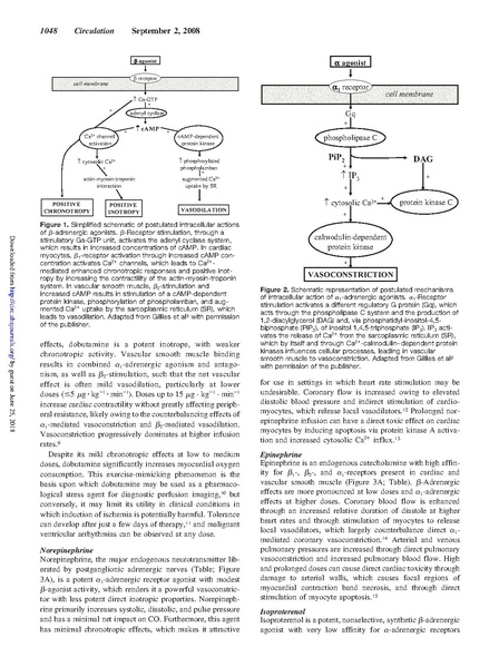 File:Circulation vasopressor review.pdf