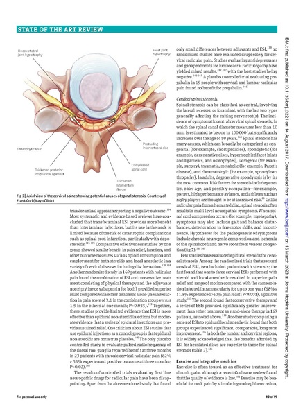 File:Cohen - Advances in the diagnosis and management of neck pain.pdf