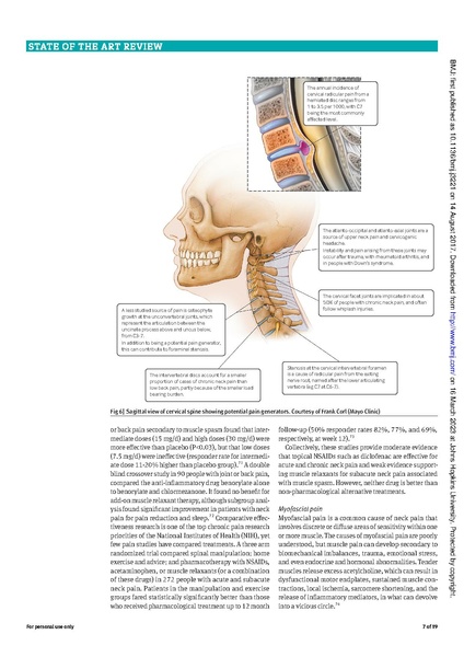 File:Cohen - Advances in the diagnosis and management of neck pain.pdf