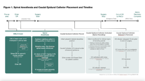 Combined Spinal Caudal Catheter Anesthesia.png
