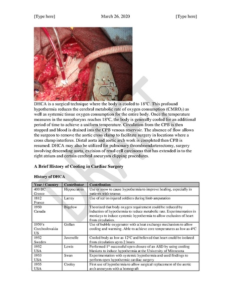 File:DHCA (March 26, 2020).pdf