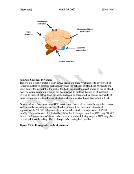 File:DHCA (March 26, 2020).pdf
