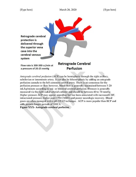 File:DHCA (March 26, 2020).pdf