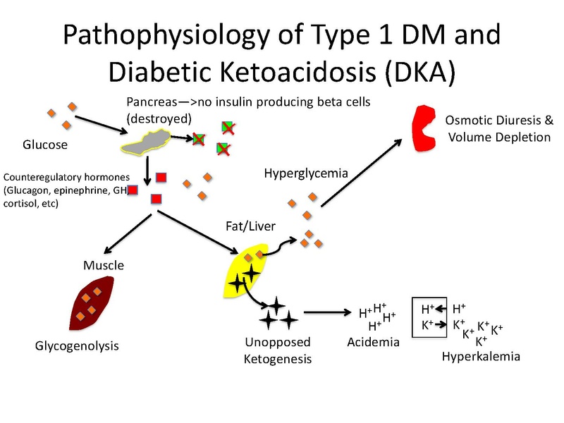 File:Diabetes Board Review Talk Pre-reading.pdf