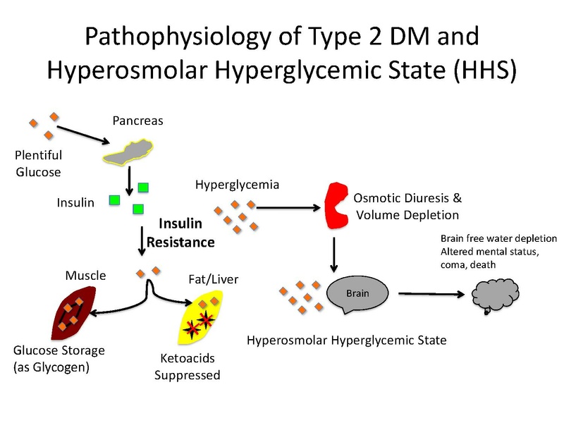File:Diabetes Board Review Talk Pre-reading.pdf