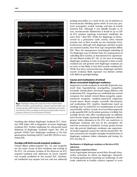 File:Dres Intensive Care Med 2017 - Critical Illness Diaphragm Atrophy.pdf