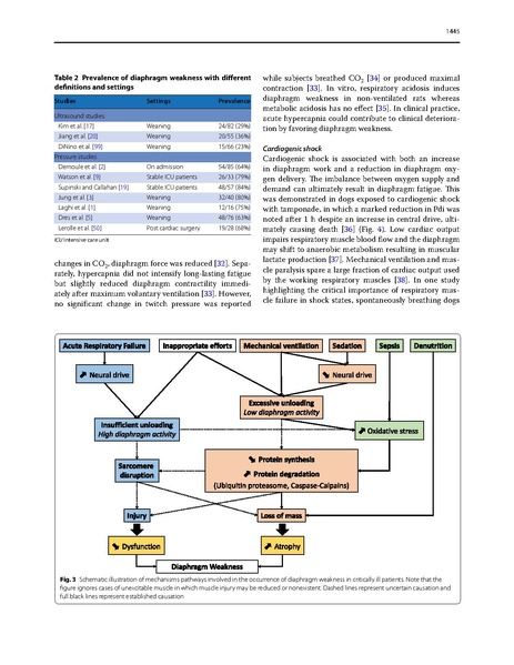File:Dres Intensive Care Med 2017 - Critical Illness Diaphragm Atrophy.pdf