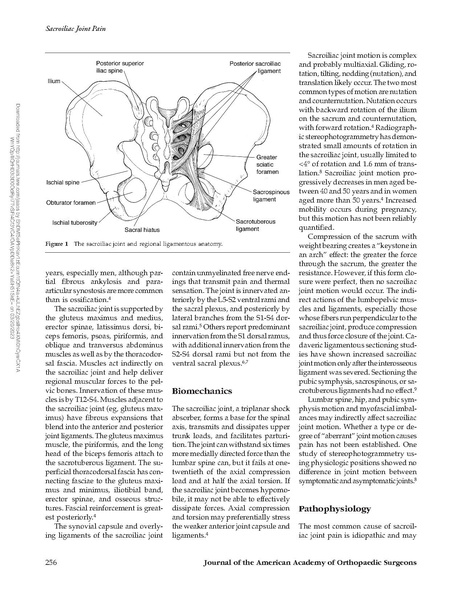 File:Dreyfuss - Sacroiliac Joint Pain.pdf