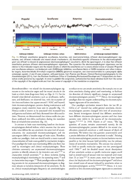 File:EEG Interpretation Anesthesiology 2015.pdf