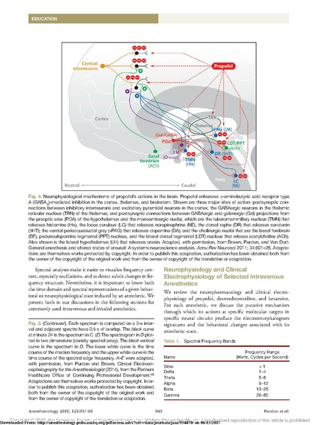 File:EEG Interpretation Anesthesiology 2015.pdf