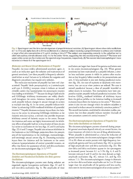 File:EEG Interpretation Anesthesiology 2015.pdf