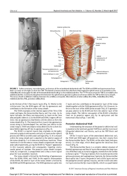 File:Essentials of Our Current Understanding .Abdominal Wall.pdf