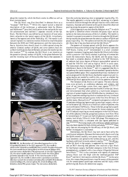 File:Essentials of Our Current Understanding .Abdominal Wall.pdf