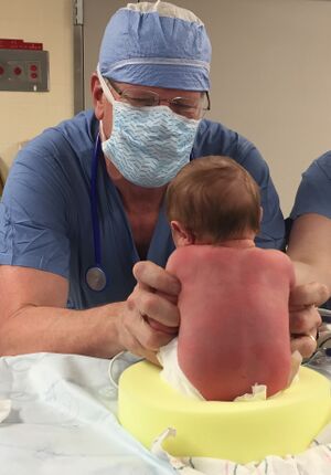 Figure 2 Supported sitting foam donut position.jpg