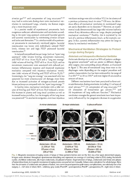 File:GБldner Intraop Vent.pdf