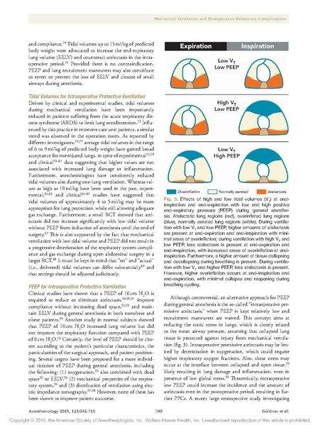 File:GБldner Intraop Vent.pdf
