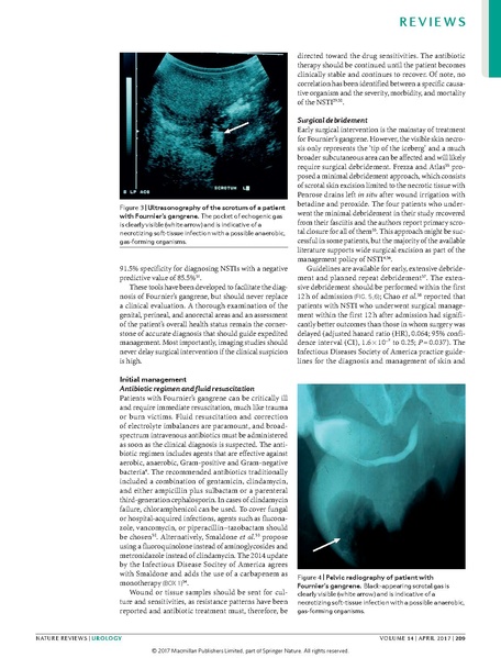 File:Haggedorn 2017 Nature Urology - Fournier's gangrene.pdf