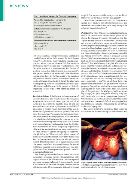 File:Haggedorn 2017 Nature Urology - Fournier's gangrene.pdf