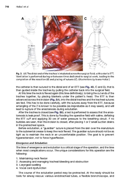 File:Hobai, Chhangani, Alfille - TRR.pdf