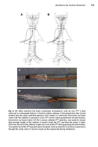 File:Hobai, Chhangani, Alfille - TRR.pdf