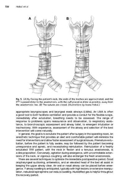 File:Hobai, Chhangani, Alfille - TRR.pdf