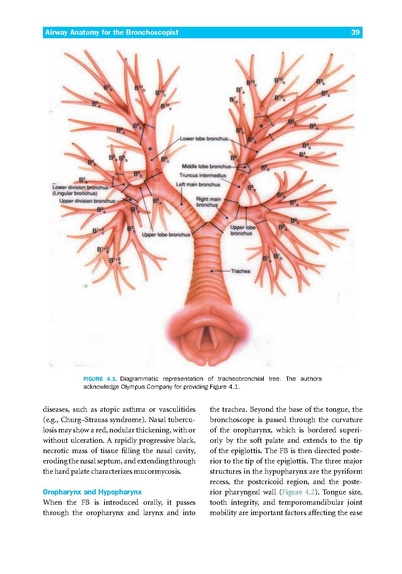 File:Introduction to Flexible Bronchoscopy.pdf