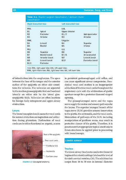 File:Introduction to Flexible Bronchoscopy.pdf