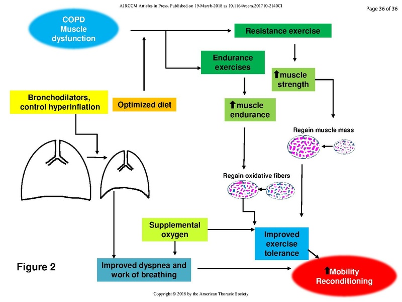 File:Jaitovich ATS 2018 - Muscle Dysfunction in COPD.pdf