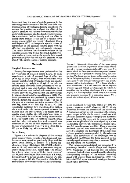 File:KHB - Wk 2 Paper - Cardiac Contraction - Paper 1.pdf