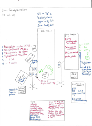Liver Transplant OR Set Up.png