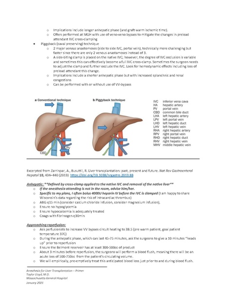 File:Liver Transplant Primer 2021.01.pdf