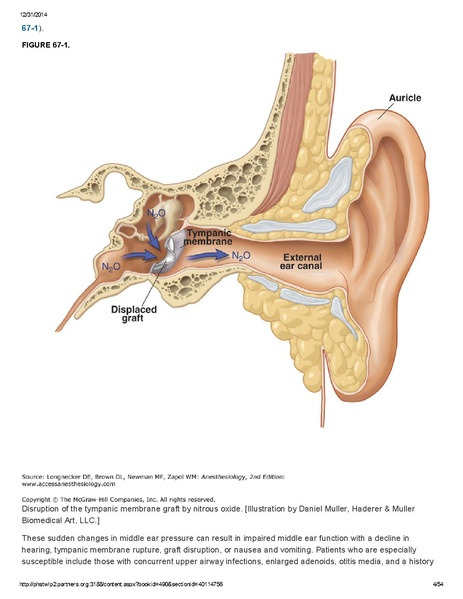 File:Longnecker Chapter 67 ENT Surgery Bil Ragan.pdf