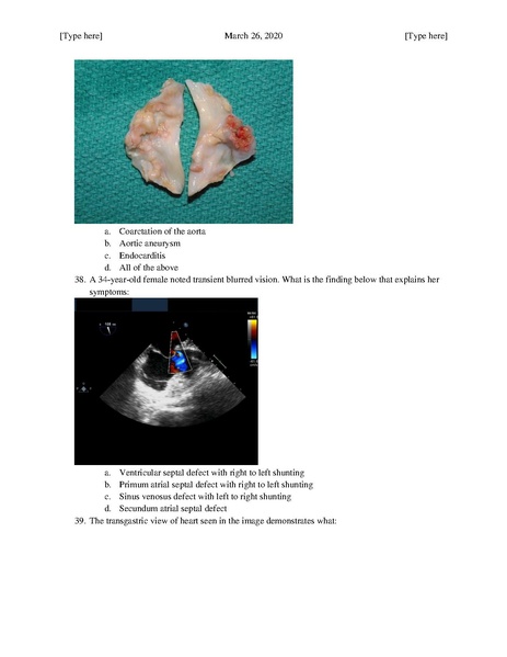 File:MGH Cardiac Anesthesia ECHO Questions (March 26, 2020).pdf