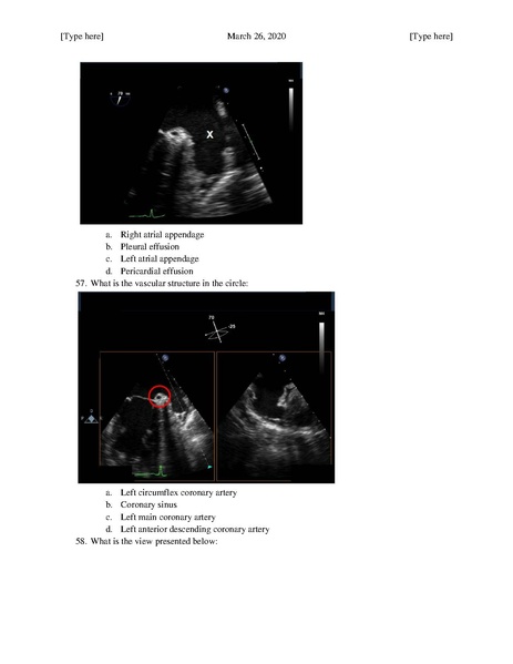 File:MGH Cardiac Anesthesia ECHO Questions (March 26, 2020).pdf