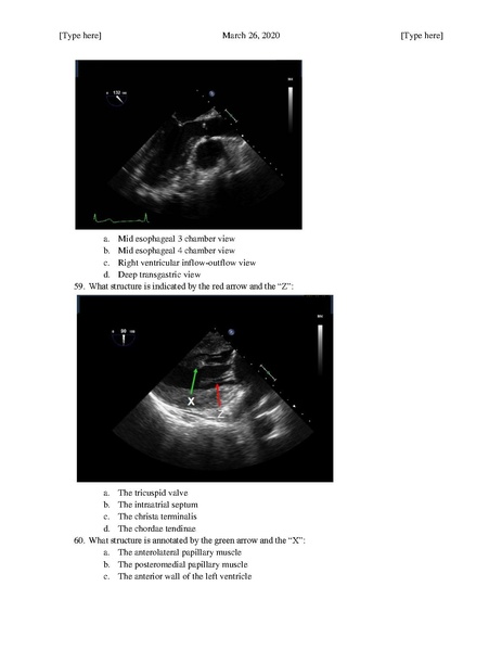 File:MGH Cardiac Anesthesia ECHO Questions (March 26, 2020).pdf