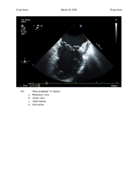 File:MGH Cardiac Anesthesia ECHO Questions (March 26, 2020).pdf