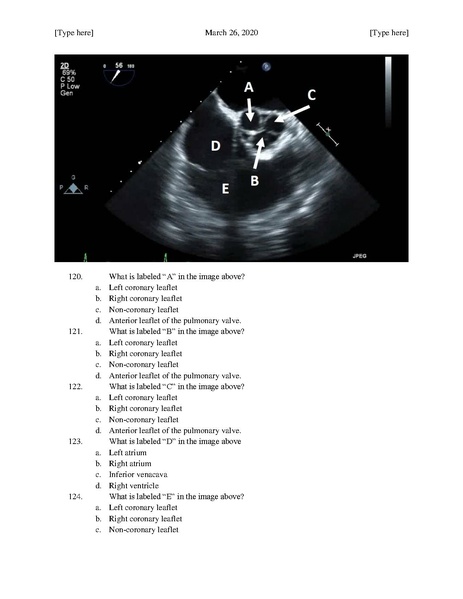File:MGH Cardiac Anesthesia ECHO Questions (March 26, 2020).pdf