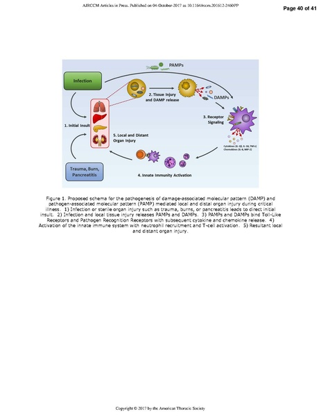 File:Ma ATS 2017 - Danger signals in critical illness.pdf