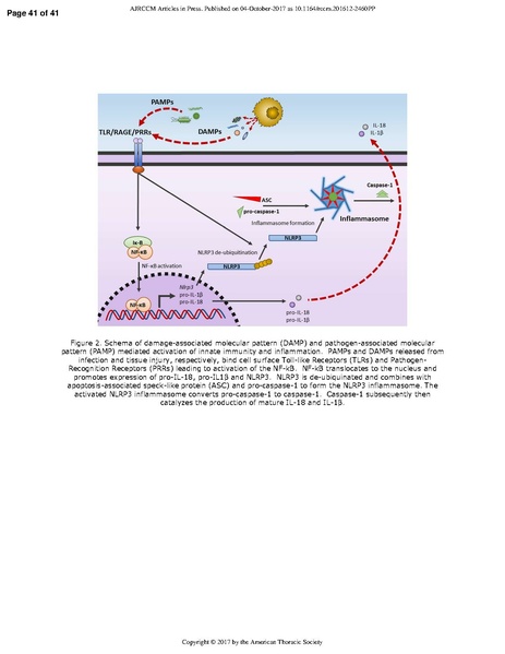 File:Ma ATS 2017 - Danger signals in critical illness.pdf