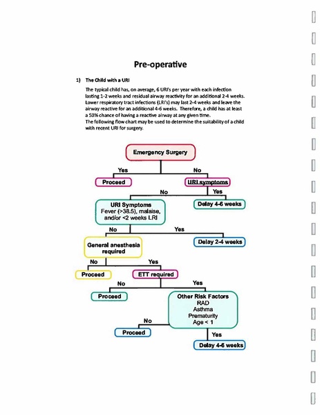 File:NMCPPedsAnesthesiaPracticeGuidelines Jun22.pdf