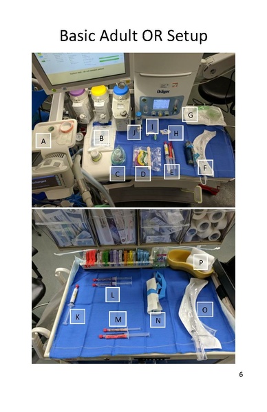 File:NMCP Anesthesiology Introductory Guide (rotator manual).pdf