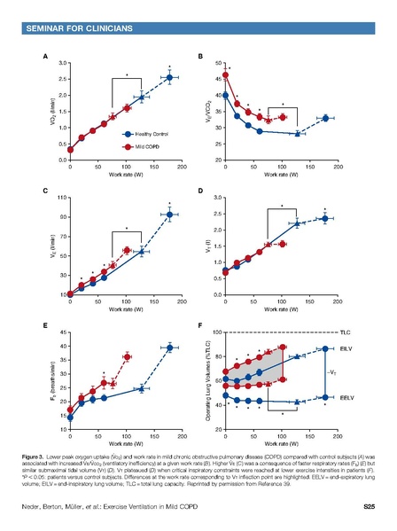 File:Neder Annals ATS 2017 - Dead Space and Dyspnea (COPD).pdf