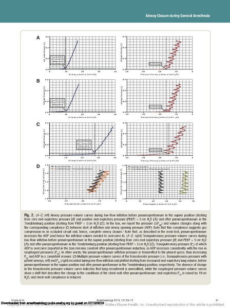 File:Obese Airway Closure.pdf