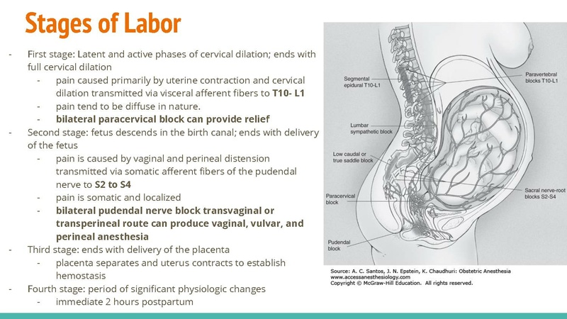 File:Obstetric Anesthesia CA1 Lecture 05Feb21.pdf