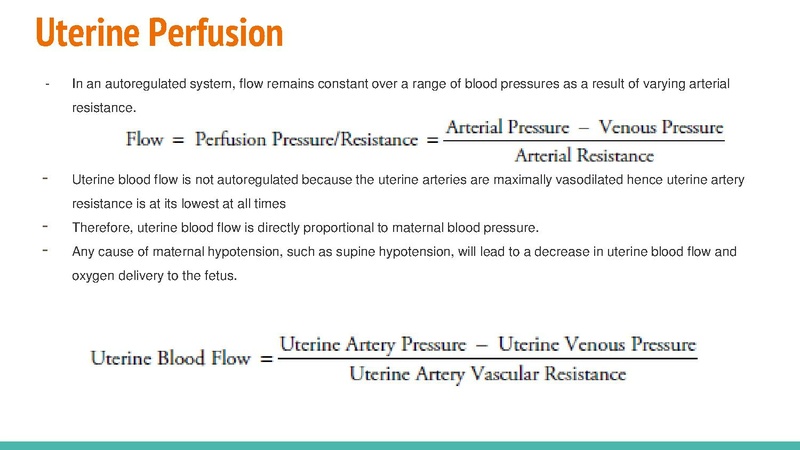 File:Obstetric Anesthesia CA1 Lecture 05Feb21.pdf